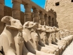 Reizen Egypte